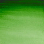 Winsor & Newton Professional Watercolour Paint S1 Hookers Green