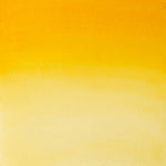 Winsor & Newton Professional Watercolour Paint S1 Indian Yellow