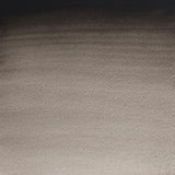 Winsor & Newton Professional Watercolour Paint S1 Ivory Black