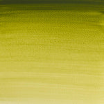 Winsor & Newton Professional Watercolour Paint S1 Olive Green