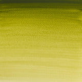 Winsor & Newton Professional Watercolour Paint S1 Olive Green