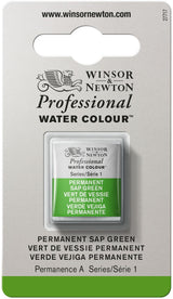 Winsor & Newton Professional Watercolour Paint S1 Permanent Sap Green
