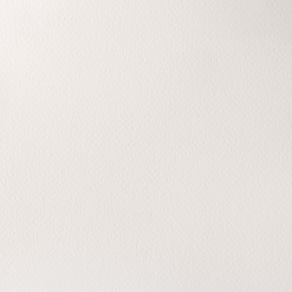 Winsor & Newton Professional Watercolour Paint S1 Titanium White