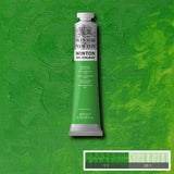 Winsor & Newton Winton Oil Paint Permanent Green Light 200ml