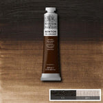 Winsor & Newton Winton Oil Paint Raw Umber 200ml