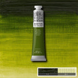 Winsor & Newton Winton Oil Paint Sap Green 200ml