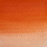 Winsor & Newton Professional Watercolour Paint S2 Fields Orange
