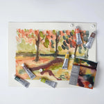 WINSOR & NEWTON PROFESSIONAL WATERCOLOUR PAINT RICH EARTH SET 6