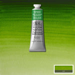 Winsor & Newton Professional Watercolour Paint S1 Permanent Sap Green