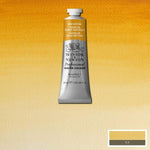Winsor & Newton Professional Watercolour Paint S1 Raw Sienna