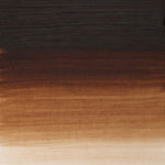 Winsor & Newton Artists Oil Paint Burnt Umber S1 200ml