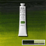 Winsor & Newton Artists Oil Paint Sap Green S2 200ml