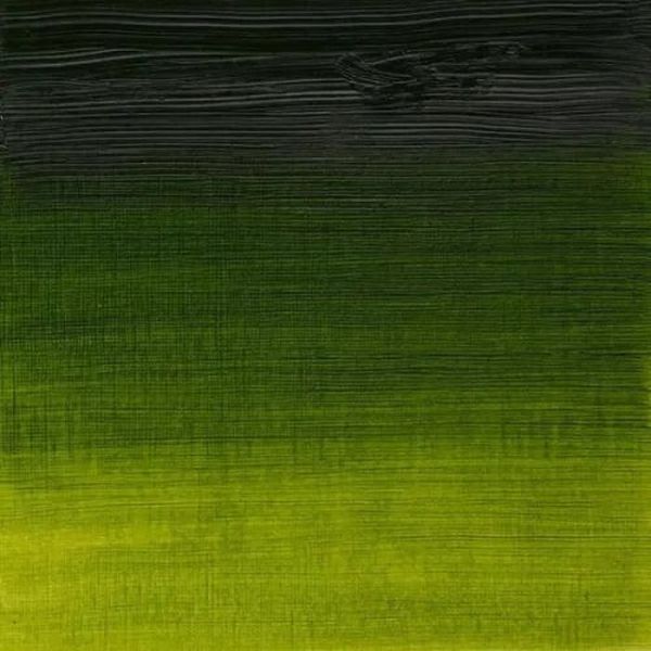 Winsor & Newton Artists Oil Paint Sap Green S2