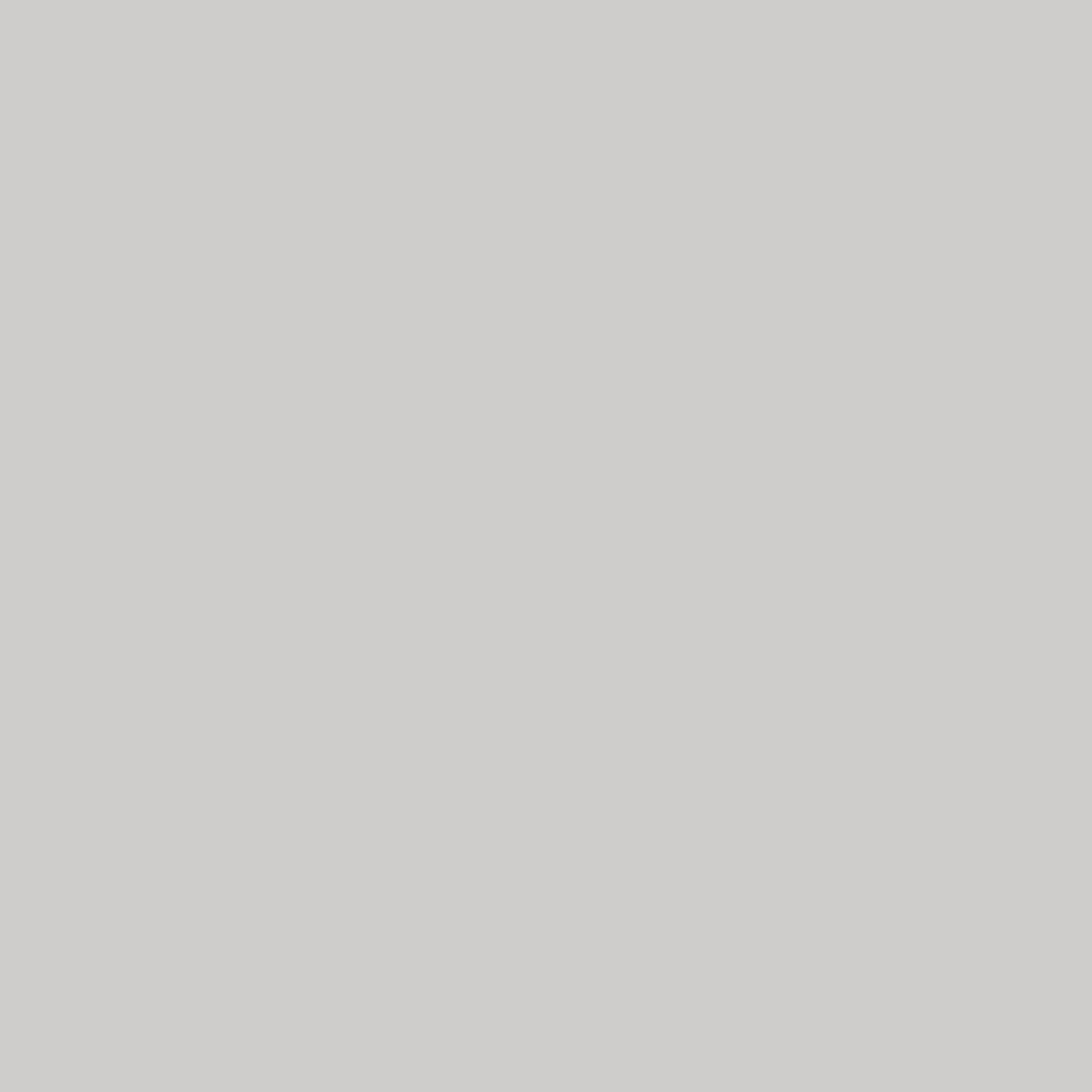 WINSOR & NEWTON PROMARKER COOL GREY 3 (CG3)