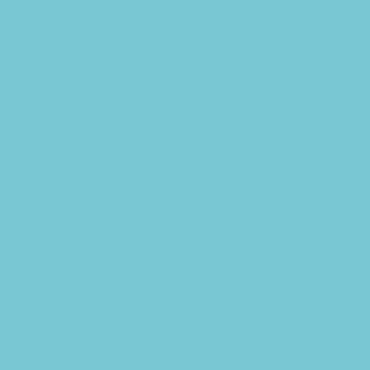 WINSOR & NEWTON PROMARKER DUCK EGG (C528)