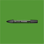 Winsor & Newton Promarker Forest Green (G356)