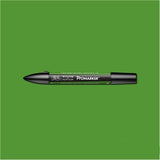 Winsor & Newton Promarker Forest Green (G356)
