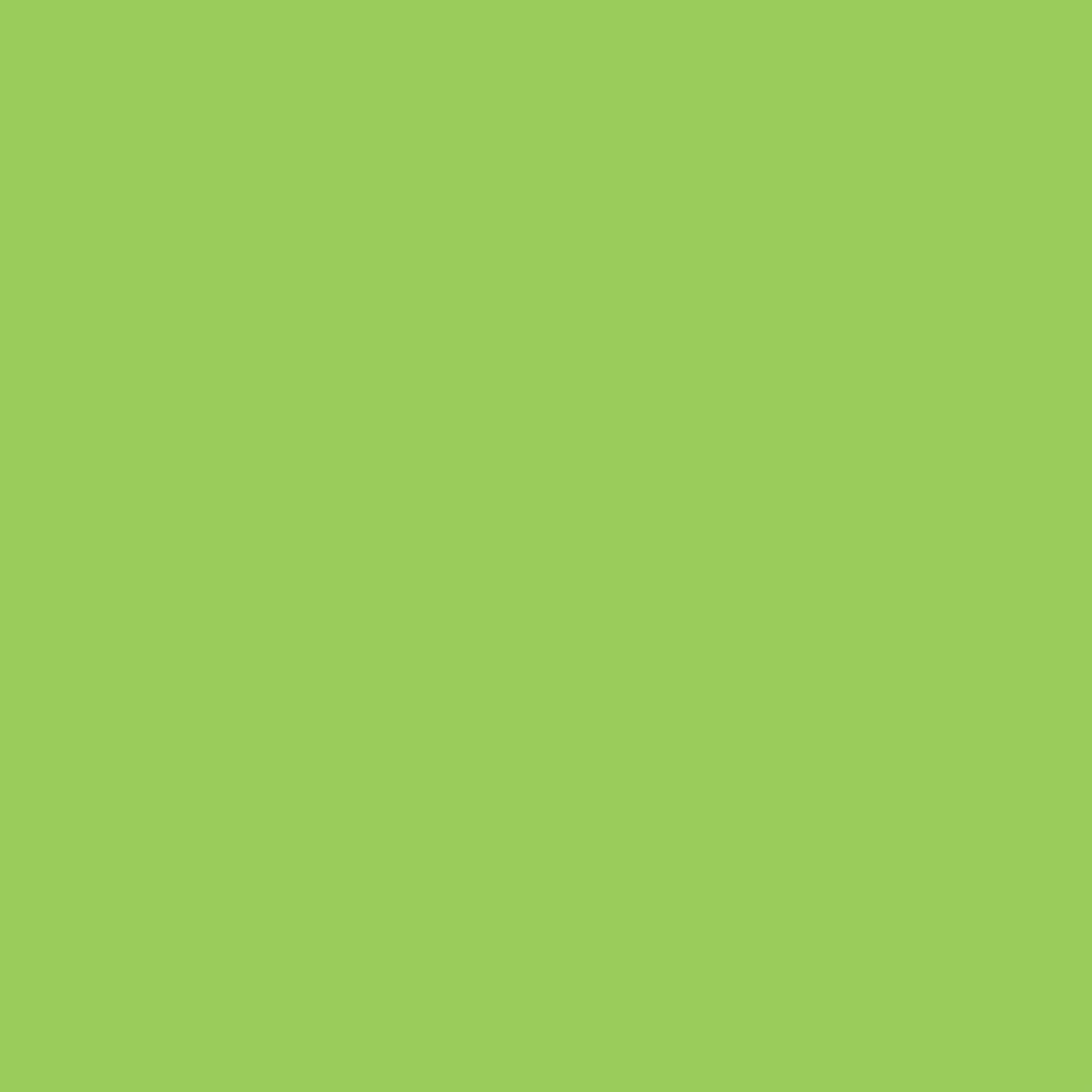 WINSOR & NEWTON PROMARKER LEAF GREEN (G258)