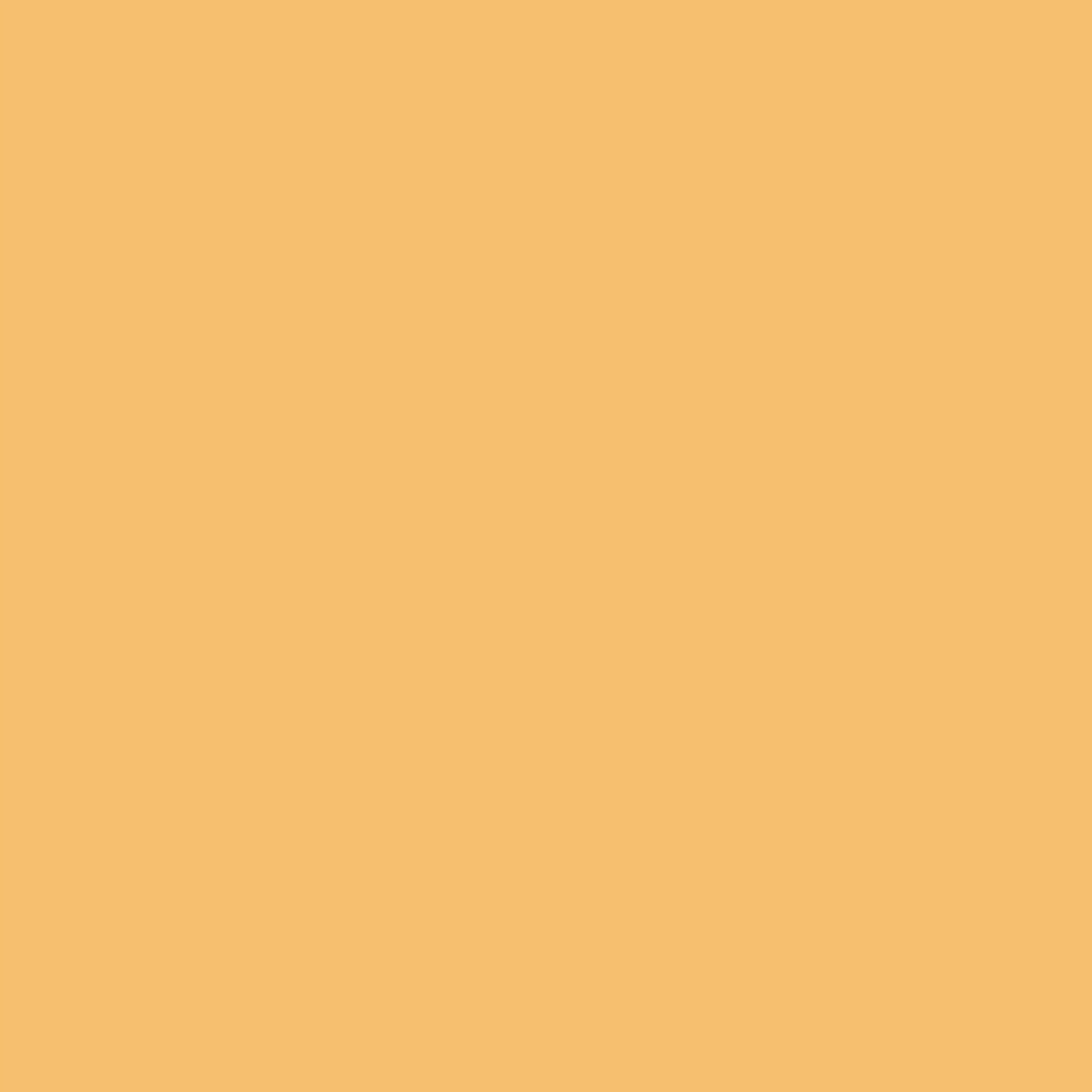 WINSOR & NEWTON PROMARKER MUSTARD (O948)