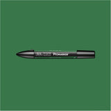 Winsor & Newton Promarker Pine (G635)