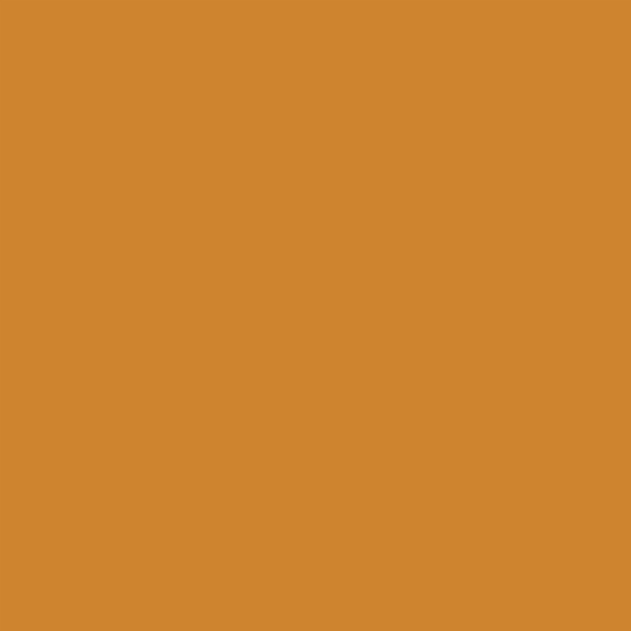 WINSOR & NEWTON PROMARKER RAW SIENNA (O646)