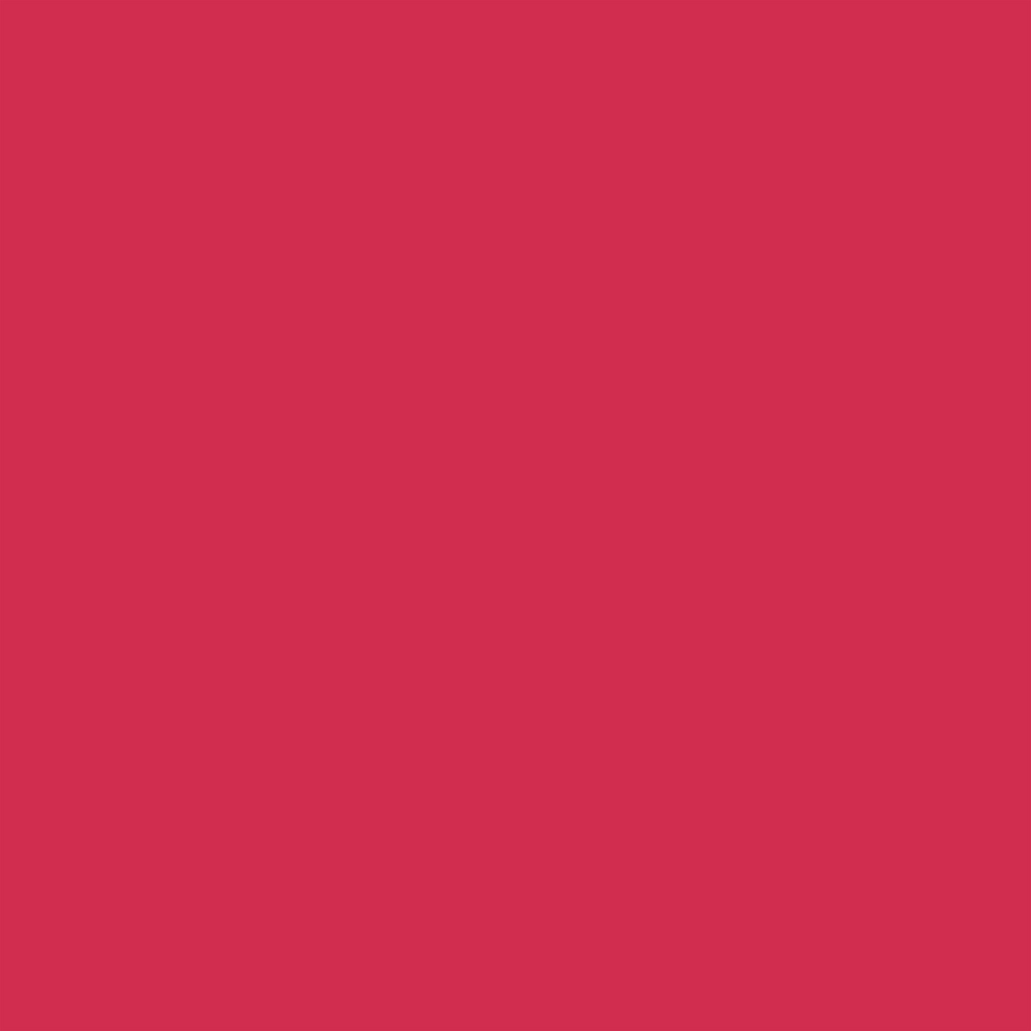 WINSOR & NEWTON PROMARKER RUBY (R455)