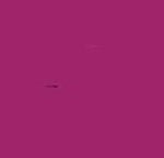 WINSOR & NEWTON BRUSHMARKER MAROON (M544)