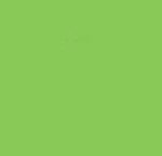 WINSOR & NEWTON BRUSHMARKER BRIGHT GREEN (G267)