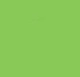 Winsor & Newton Brushmarker Bright Green (G267)