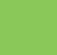 Winsor & Newton Brushmarker Bright Green (G267)