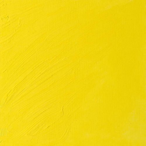 Winsor & Newton Artists Oil Paint Bismuth Yellow S4 37ml