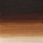 Winsor & Newton Artists Oil Paint Burnt Umber S1 37ml