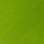 Winsor & Newton Artists Oil Paint Cadmium Green Pale S4 37ml