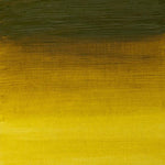 Winsor & Newton Artists Oil Paint Green Gold S2 37ml