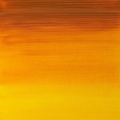 Winsor & Newton Artists Oil Paint Indian Yellow S2 37ml