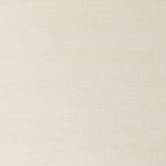 Winsor & Newton Artists Oil Paint Iridescent White  S1 37ml