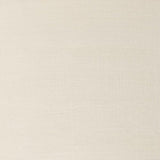 Winsor & Newton Artists Oil Paint Iridescent White  S1 37ml