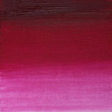 Winsor & Newton Artists Oil Paint Permanent Magenta S2 37ml