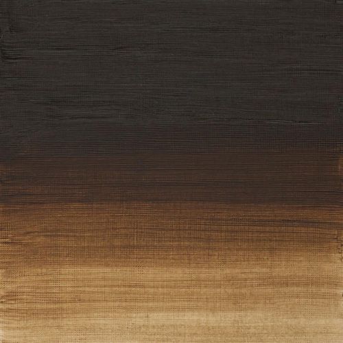 Winsor & Newton Artists Oil Paint Raw Umber S1