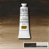 Winsor & Newton Artists Oil Paint Raw Umber (Green Shade) S1 37ml
