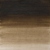Winsor & Newton Artists Oil Paint Raw Umber (Green Shade) S1 37ml