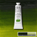 Winsor & Newton Artists Oil Paint Sap Green S2 37ml