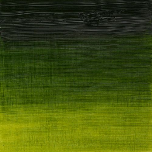 Winsor & Newton Artists Oil Paint Sap Green S2