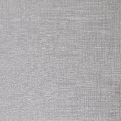 Winsor & Newton Artists Oil Paint Silver S2