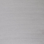 Winsor & Newton Artists Oil Paint Silver S2