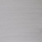 Winsor & Newton Artists Oil Paint Silver S2 37ml