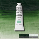 Winsor & Newton Artists Oil Paint Terre Verte S1 37ml