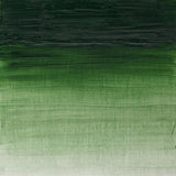 Winsor & Newton Artists Oil Paint Terre Verte S1 37ml