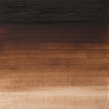 Winsor & Newton Artists Oil Paint Vandyke Brown S1 37ml