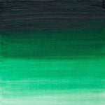 Winsor & Newton Artists Oil Paint Winsor Green (Yellow Shade) S2 37ml